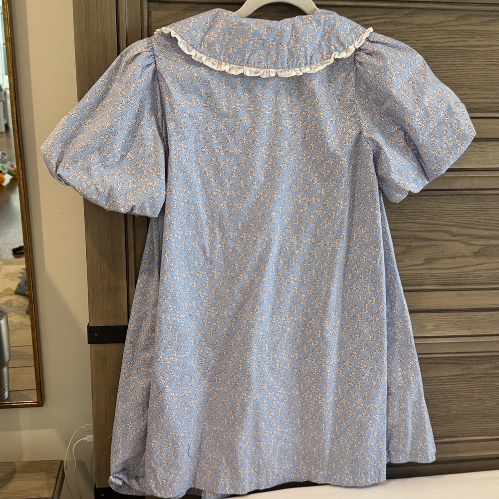 Blue Collared Button-Down Dress - Picture 3 of 6